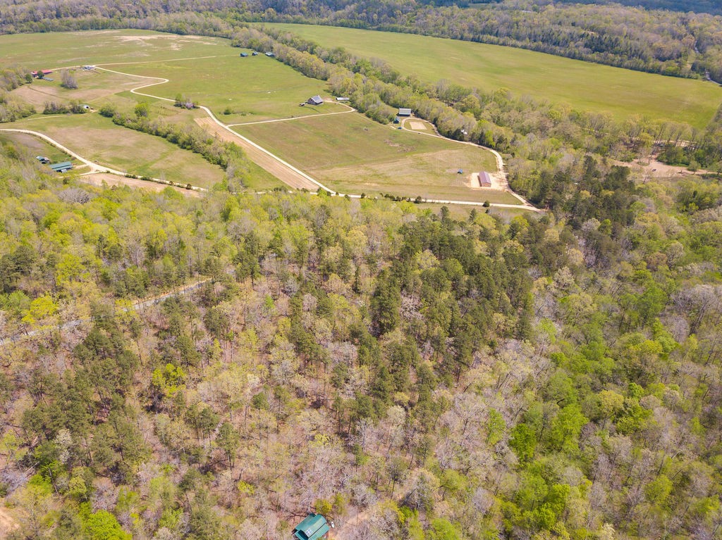 0 Chapel Farm Road Clifton, TN 38425 - Photo 10 of 67 Gallery Image 10