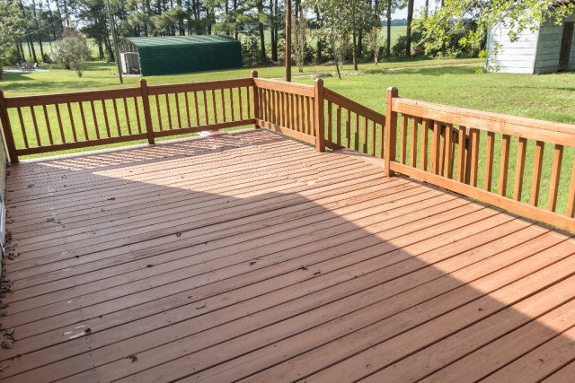 320 Savannah Road Bishopville, SC 29010 - Photo 18 of 18