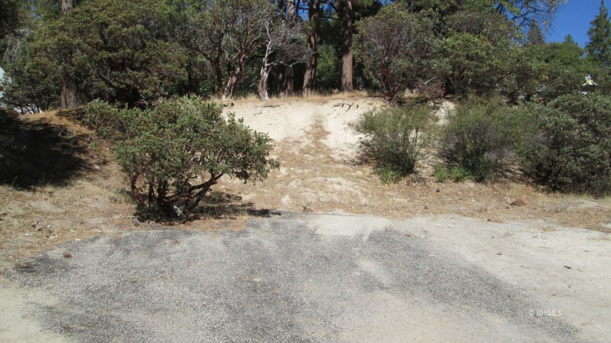 Pine Cove Rd Pine Cove Idyllwild, CA 92549 - Photo 2 of 3 a view of a dry yard with trees