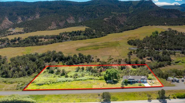 a view of a garden and swimming pool