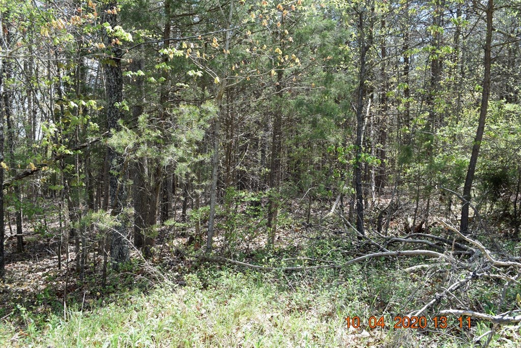 Elam Road, Unit 18 Pamplin, VA 23958 - Photo 5 of 7 Gallery Image 5