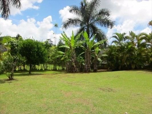 6700 Puupilo Road, Unit 1 Kapaa, HI 96746 - Photo 6 of 6