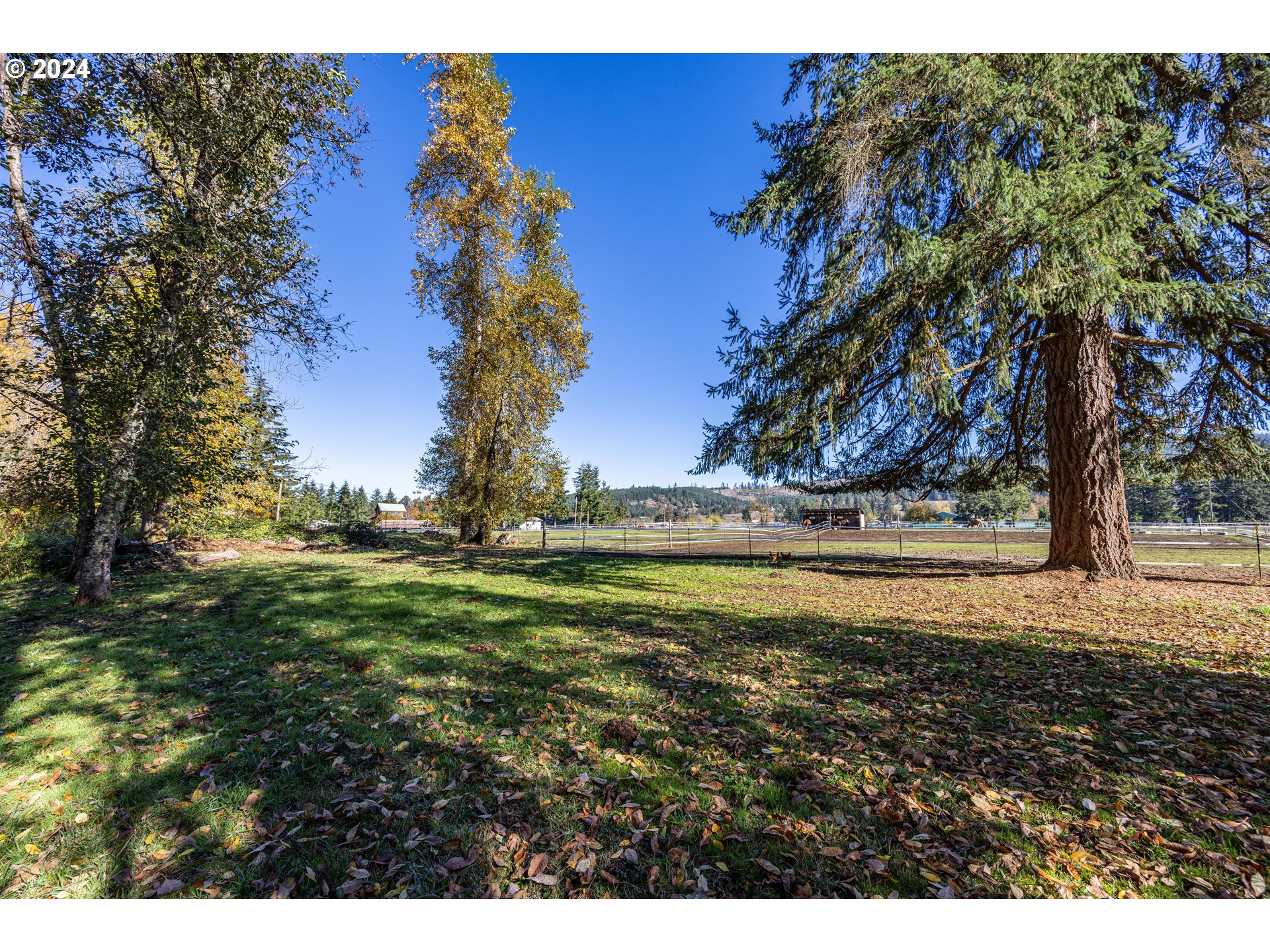 82018 Lost Creek Road Dexter, OR 97431 - Photo 20 of 34 Gallery Image 20