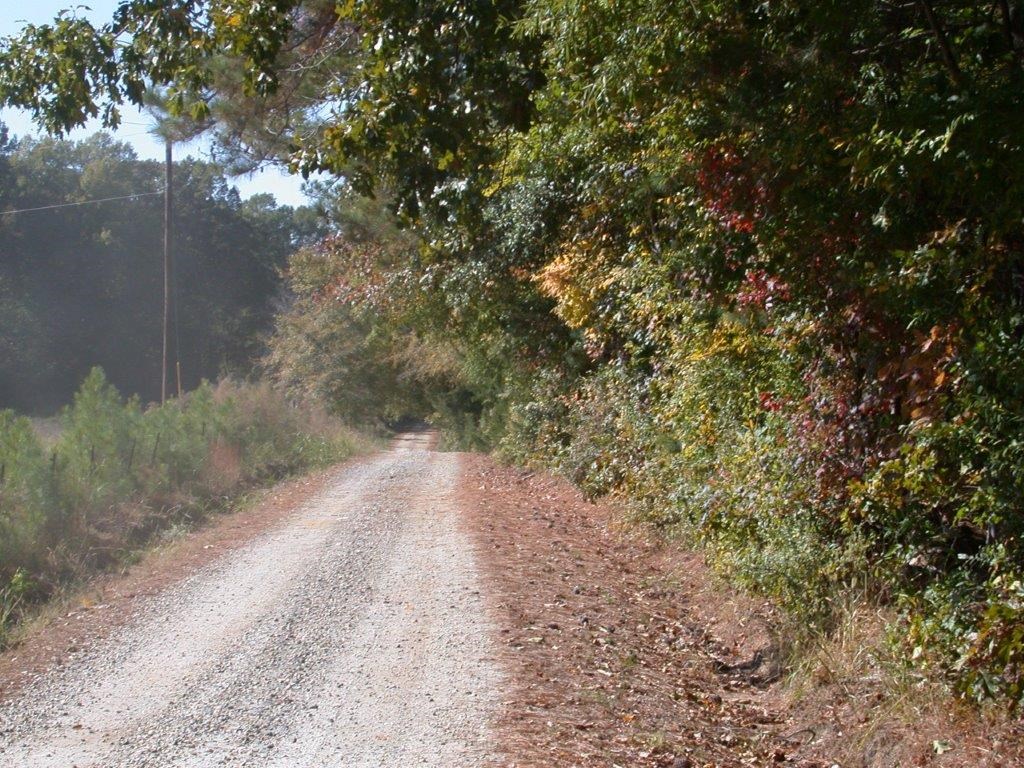 - Larkin Rice Road Saluda, SC 29138 - Photo 44 of 70