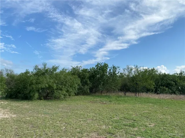 a view of a field with trees in background