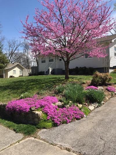 463 East Drive Oak Ridge, TN 37830 - Photo 2 of 26 thumbnail (2)