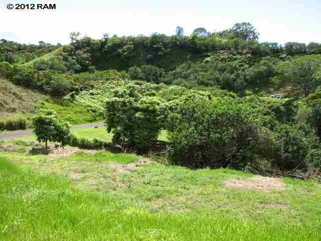 734 East Kuiaha Road, Unit C8 Haiku, HI 96708 - Photo 3 of 11 a view of a yard with a tree