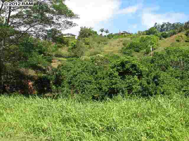 734 East Kuiaha Road, Unit C8 Haiku, HI 96708 - Photo 5 of 11 a view of a lush green forest