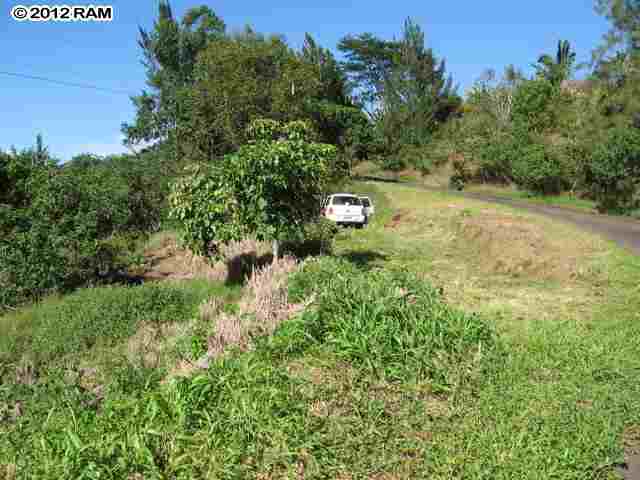 734 East Kuiaha Road, Unit C8 Haiku, HI 96708 - Photo 7 of 11 a view of outdoor space and trees all around