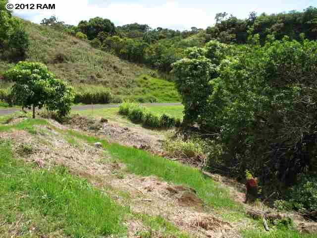 734 East Kuiaha Road, Unit C8 Haiku, HI 96708 - Photo 8 of 11 a view of a yard with a tree