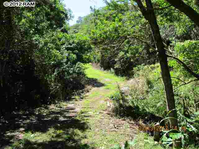 734 East Kuiaha Road, Unit C8 Haiku, HI 96708 - Photo 10 of 11 a view of a garden with trees
