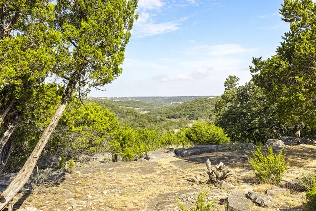 a view of a yard with plants and large trees