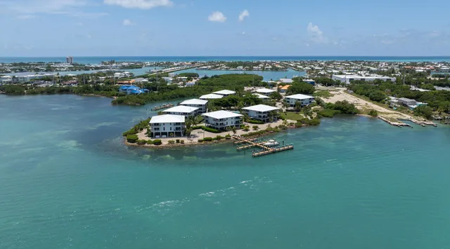 an aerial view of a house with a lake view