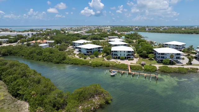 an aerial view of a house with a lake view