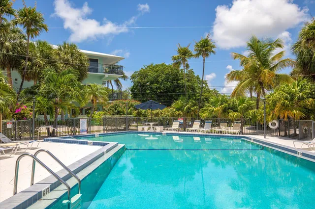 a view of a swimming pool with a lawn chairs under palm trees