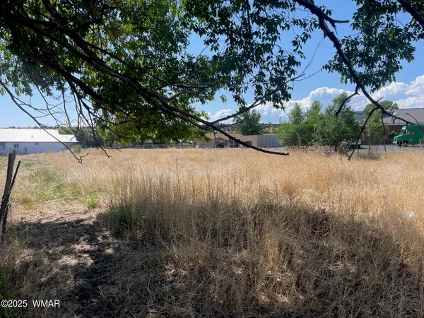a view of a yard with a tree