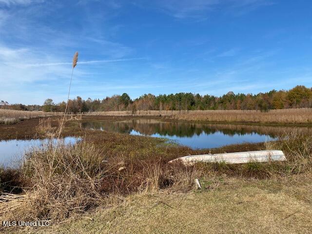 4827 Newport Road Pickens, MS 39146 - Photo 1 of 12 pond