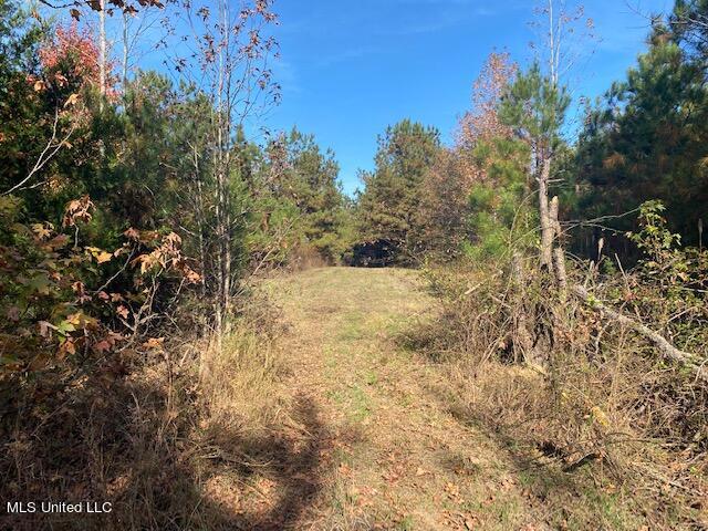 4827 Newport Road Pickens, MS 39146 - Photo 11 of 12 IMG_1233