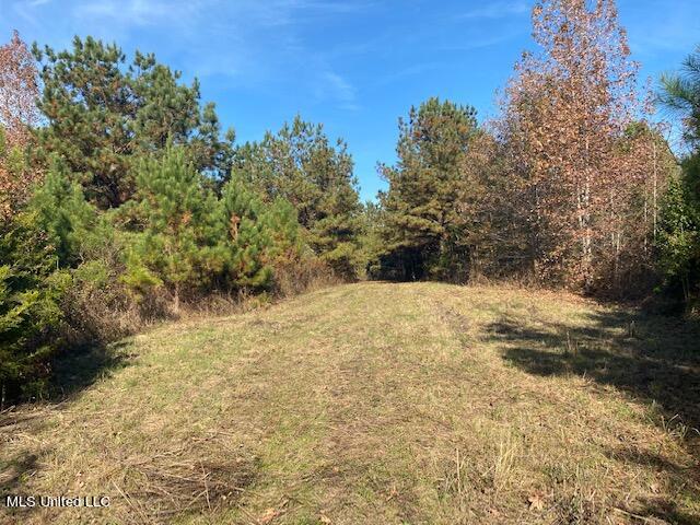 4827 Newport Road Pickens, MS 39146 - Photo 12 of 12 IMG_1234