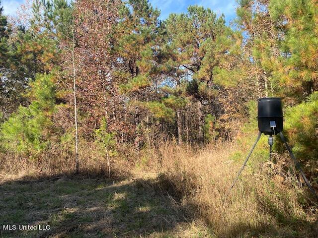 4827 Newport Road Pickens, MS 39146 - Photo 2 of 12 IMG_1235