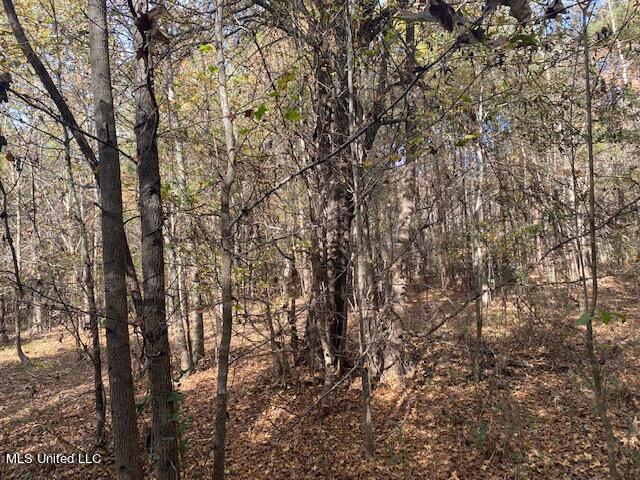 4827 Newport Road Pickens, MS 39146 - Photo 3 of 12 IMG_1239