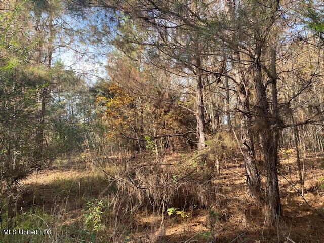 4827 Newport Road Pickens, MS 39146 - Photo 5 of 12 IMG_1242