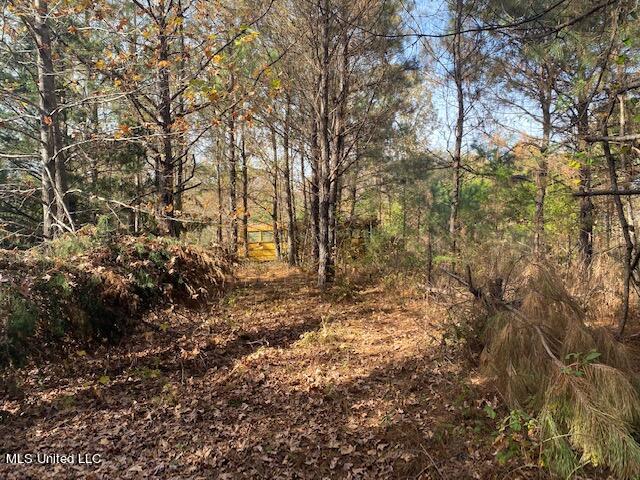 4827 Newport Road Pickens, MS 39146 - Photo 6 of 12 IMG_1243