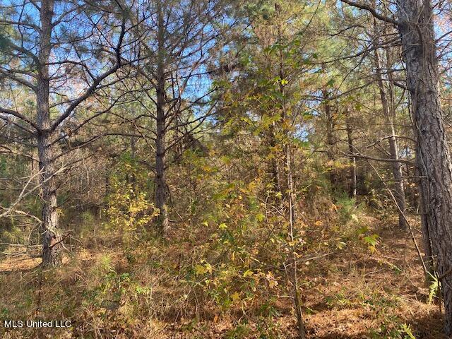 4827 Newport Road Pickens, MS 39146 - Photo 7 of 12 IMG_1245
