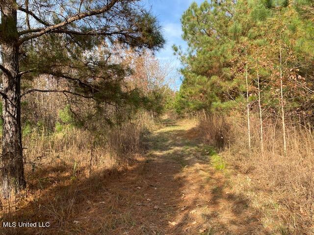 4827 Newport Road Pickens, MS 39146 - Photo 8 of 12 IMG_1246