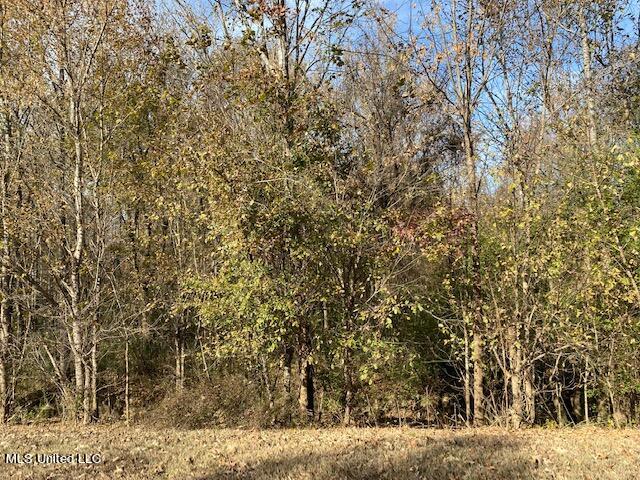 4827 Newport Road Pickens, MS 39146 - Photo 10 of 12 IMG_1248