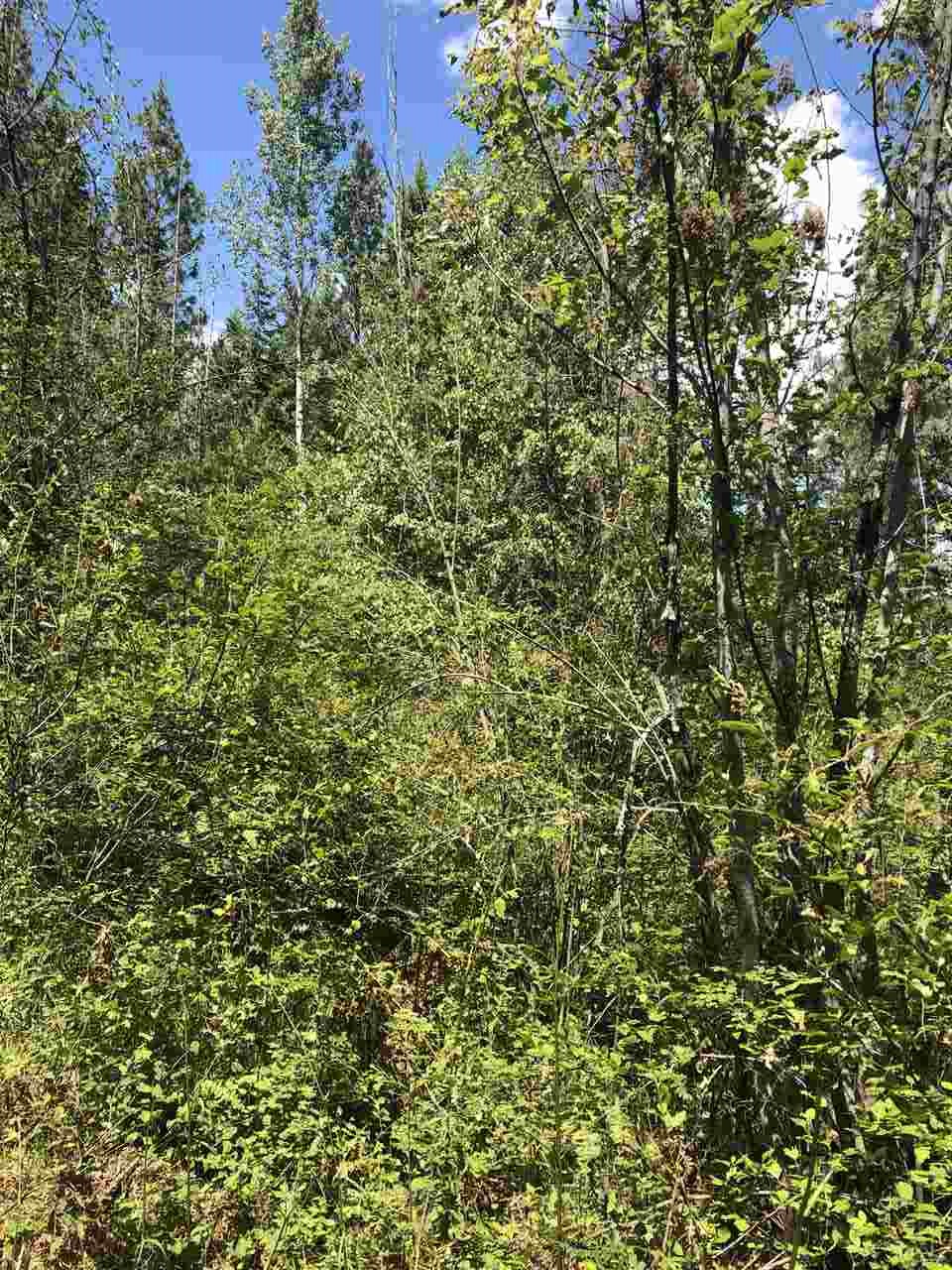 6-7 Westside Calispel Road Usk, WA 99180 - Photo 11 of 12