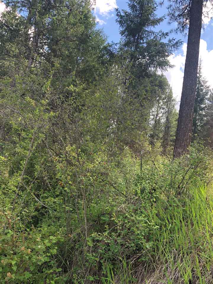 6-7 Westside Calispel Road Usk, WA 99180 - Photo 12 of 12