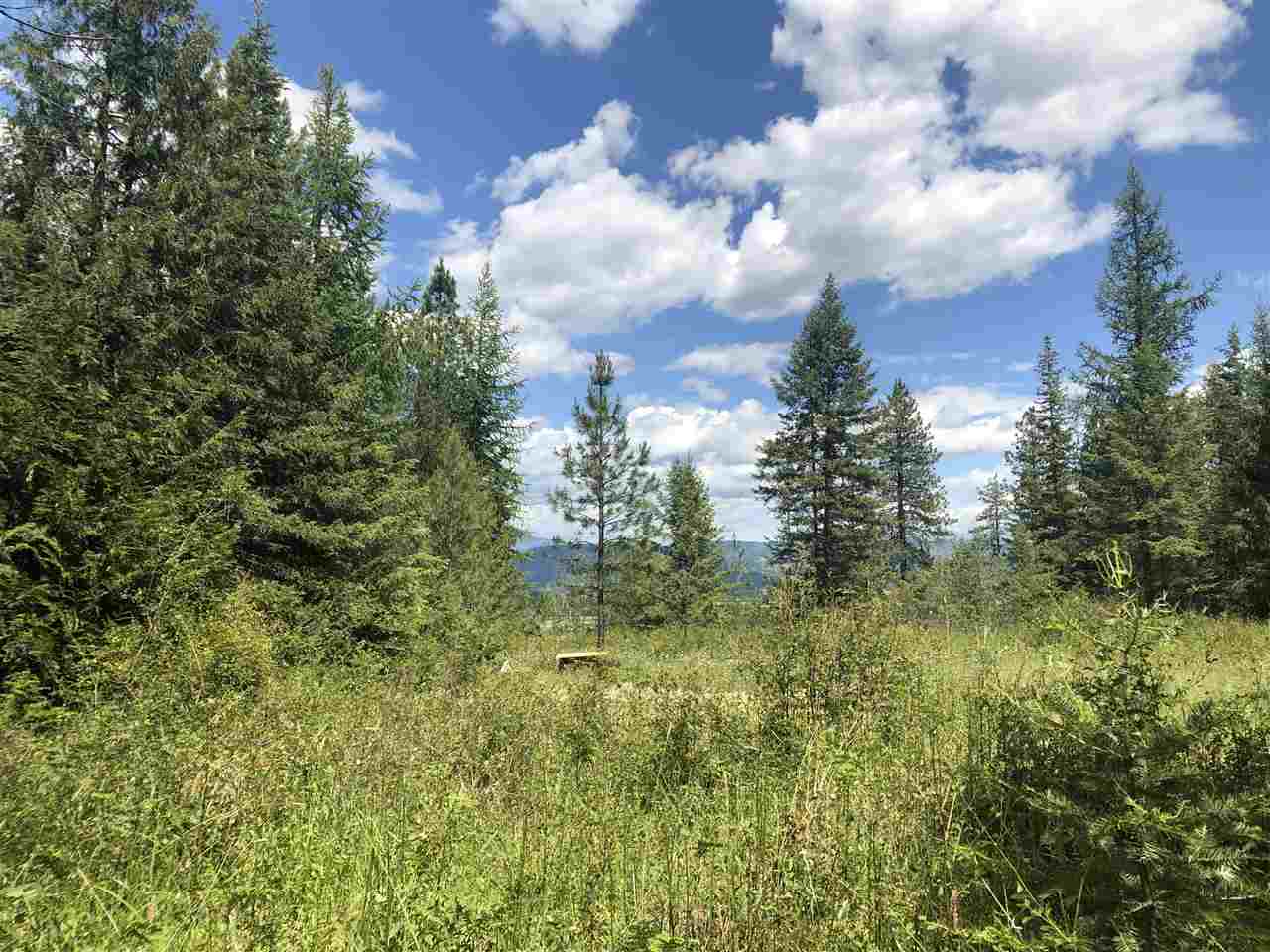 6-7 Westside Calispel Road Usk, WA 99180 - Photo 3 of 12