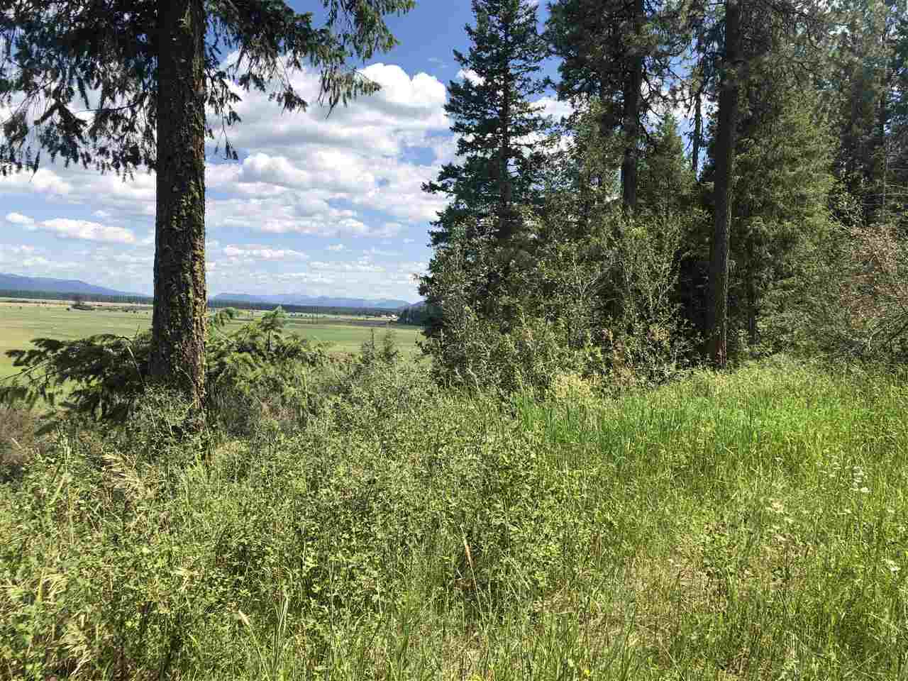 6-7 Westside Calispel Road Usk, WA 99180 - Photo 4 of 12