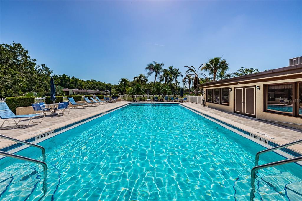 1701 Pinehurst Road, Unit 4F Dunedin, FL 34698 - Photo 46 of 56 a swimming pool with outdoor seating and yard