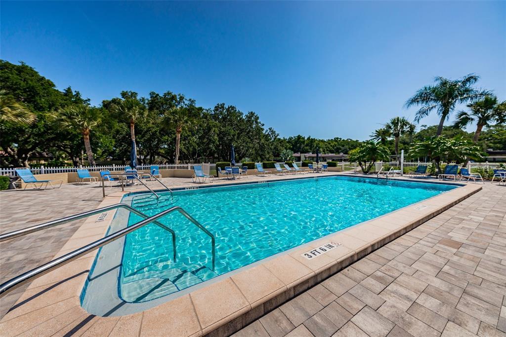 1701 Pinehurst Road, Unit 4F Dunedin, FL 34698 - Photo 47 of 56 a view of swimming pool with a garden and trees