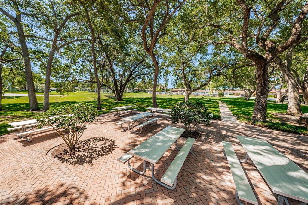 1701 Pinehurst Road, Unit 4F Dunedin, FL 34698 - Photo 50 of 56 a view of a park with large trees