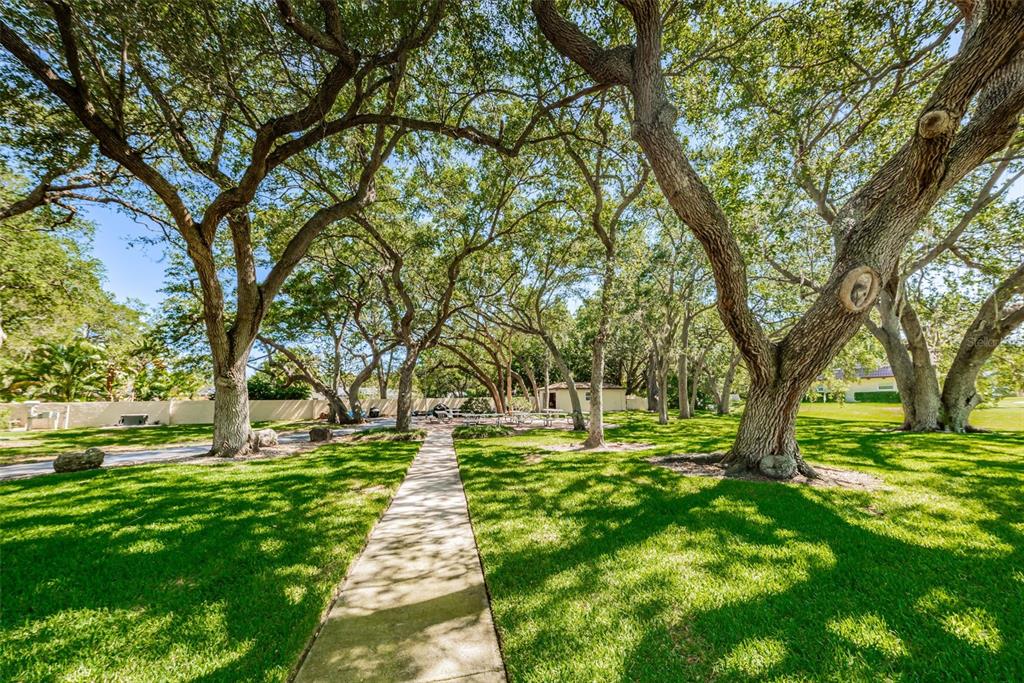1701 Pinehurst Road, Unit 4F Dunedin, FL 34698 - Photo 51 of 56 a huge green field with lots of trees