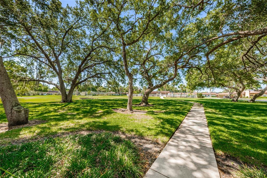 1701 Pinehurst Road, Unit 4F Dunedin, FL 34698 - Photo 52 of 56 a huge green field with lots of trees