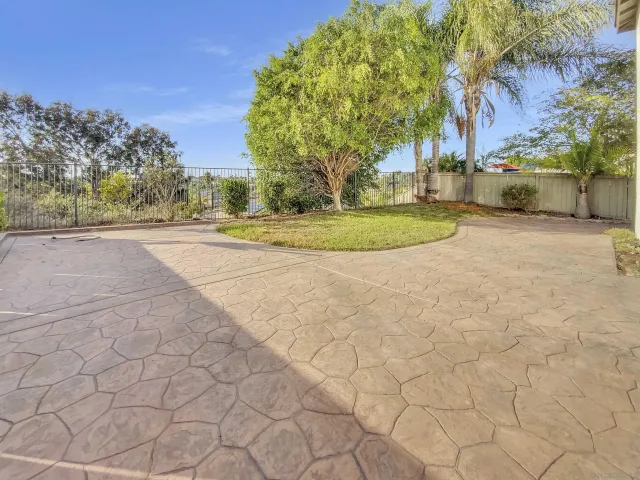 a view of a yard with plants