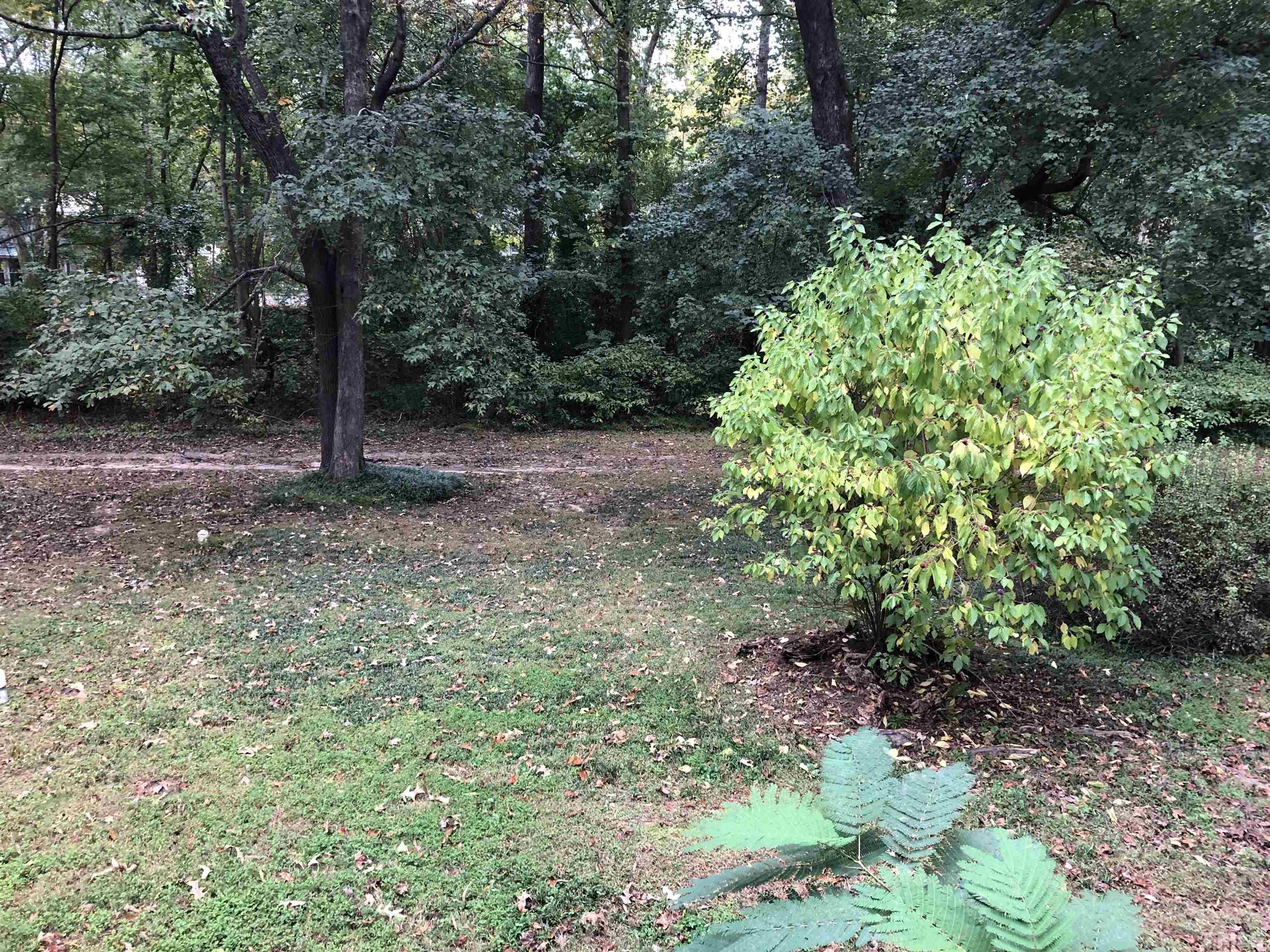 5811 Sentinel Drive Raleigh, NC 27609 - Photo 11 of 20 a view of a garden with plants