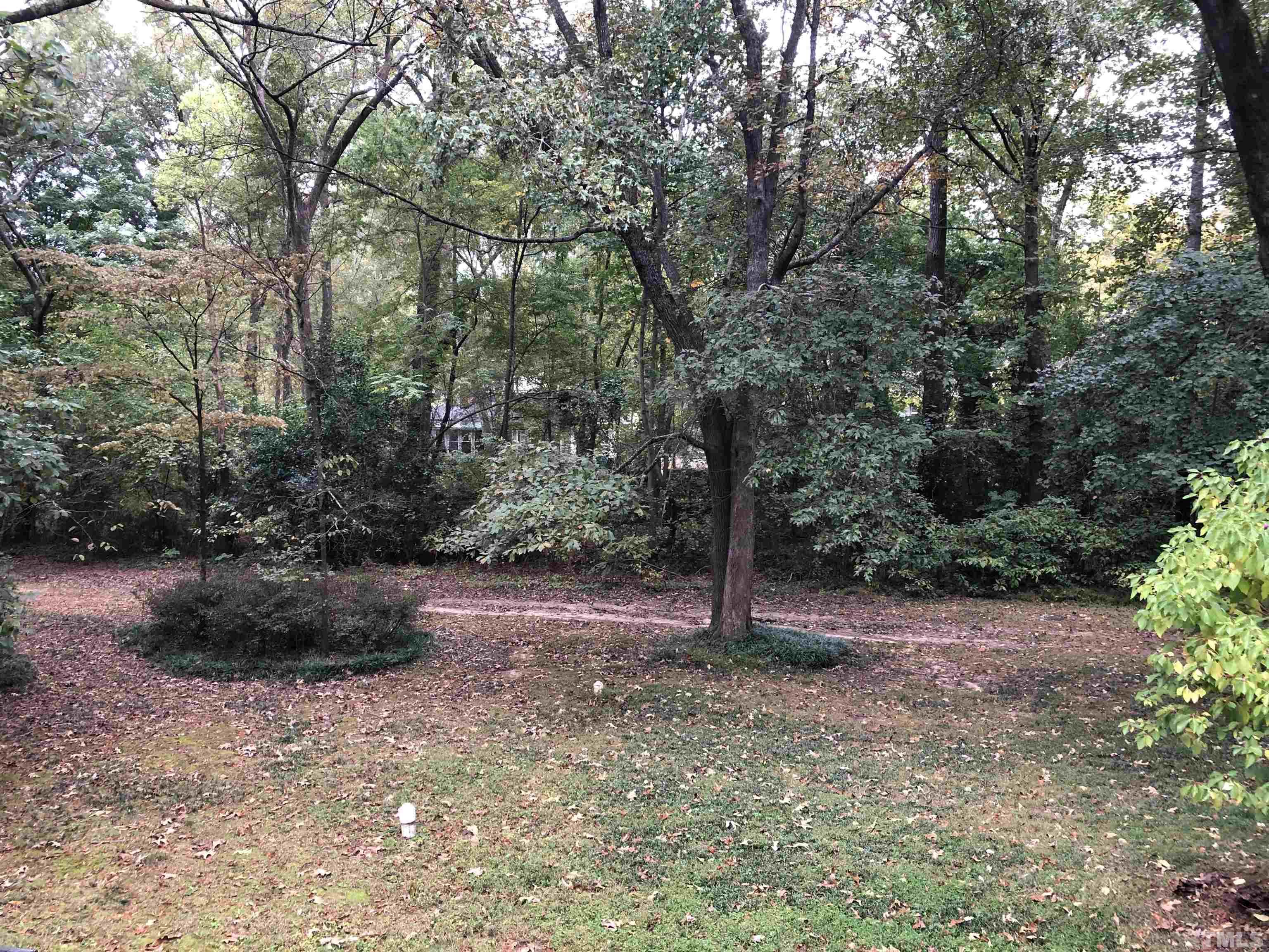 5811 Sentinel Drive Raleigh, NC 27609 - Photo 9 of 20 a view of a yard with plants and trees