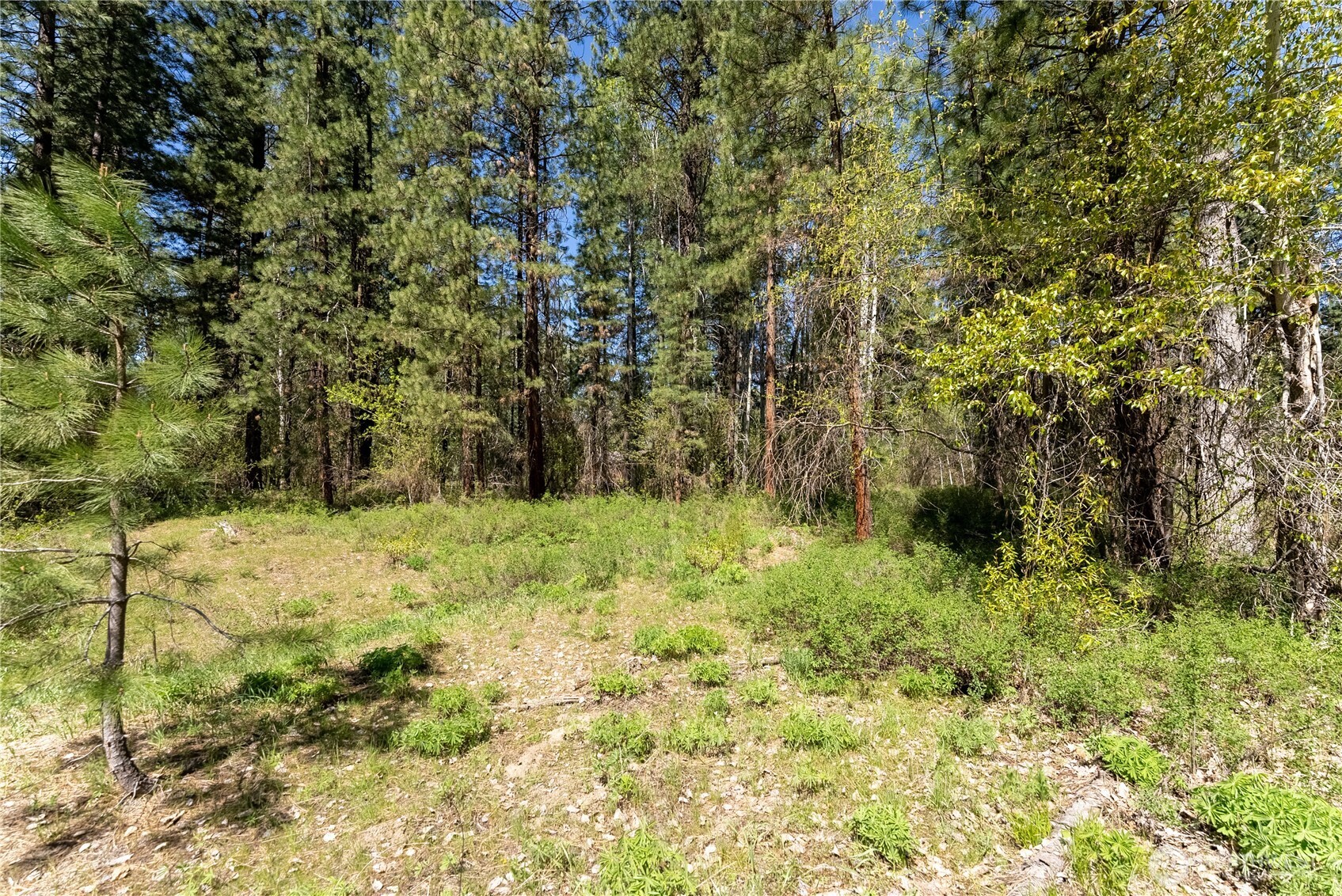 19 Green Road Winthrop, WA 98862 - Photo 4 of 19