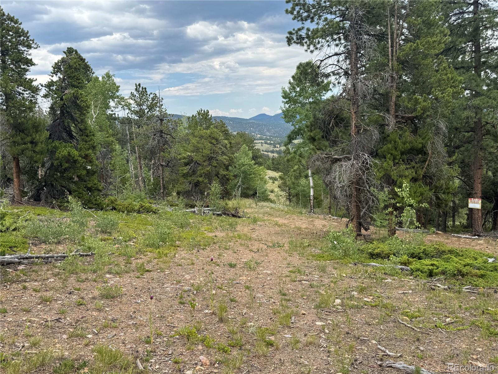 3 Church Placer Road Central City, CO 80427 - Photo 14 of 17 a view of a yard with trees