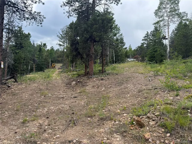 a view of outdoor space with trees all around