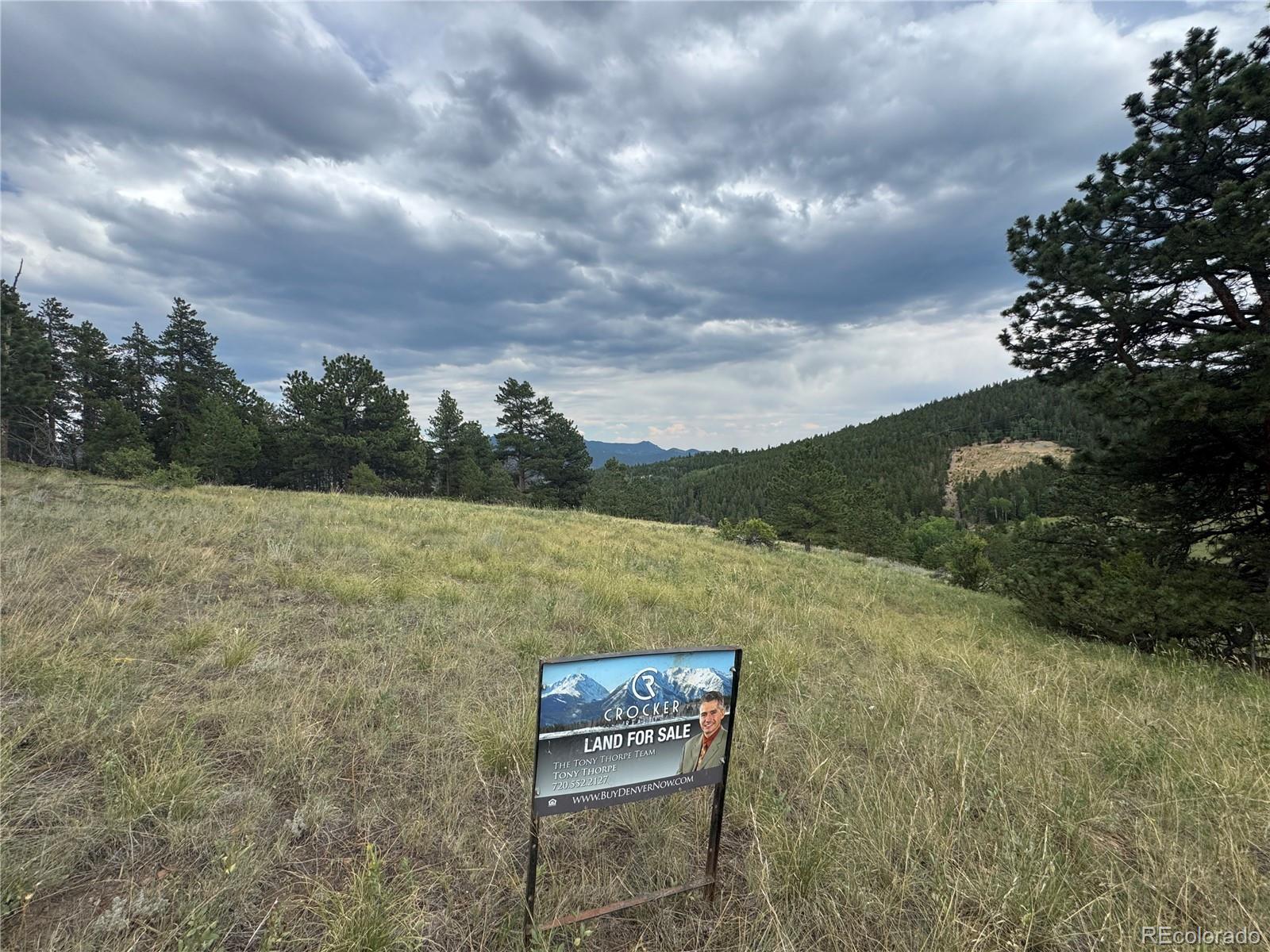 3 Church Placer Road Central City, CO 80427 - Photo 16 of 17 a view of a yard with mountain view