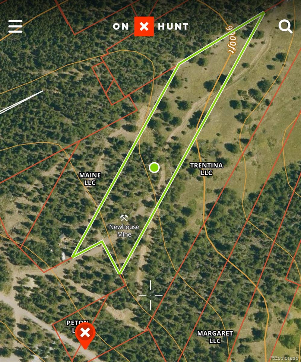 3 Church Placer Road Central City, CO 80427 - Photo 17 of 17 a picture of a plant