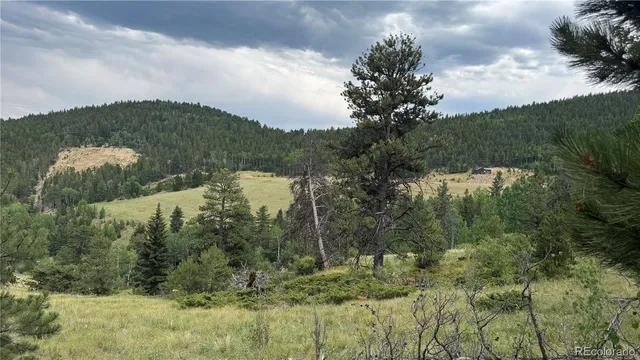 a view of lake with green space