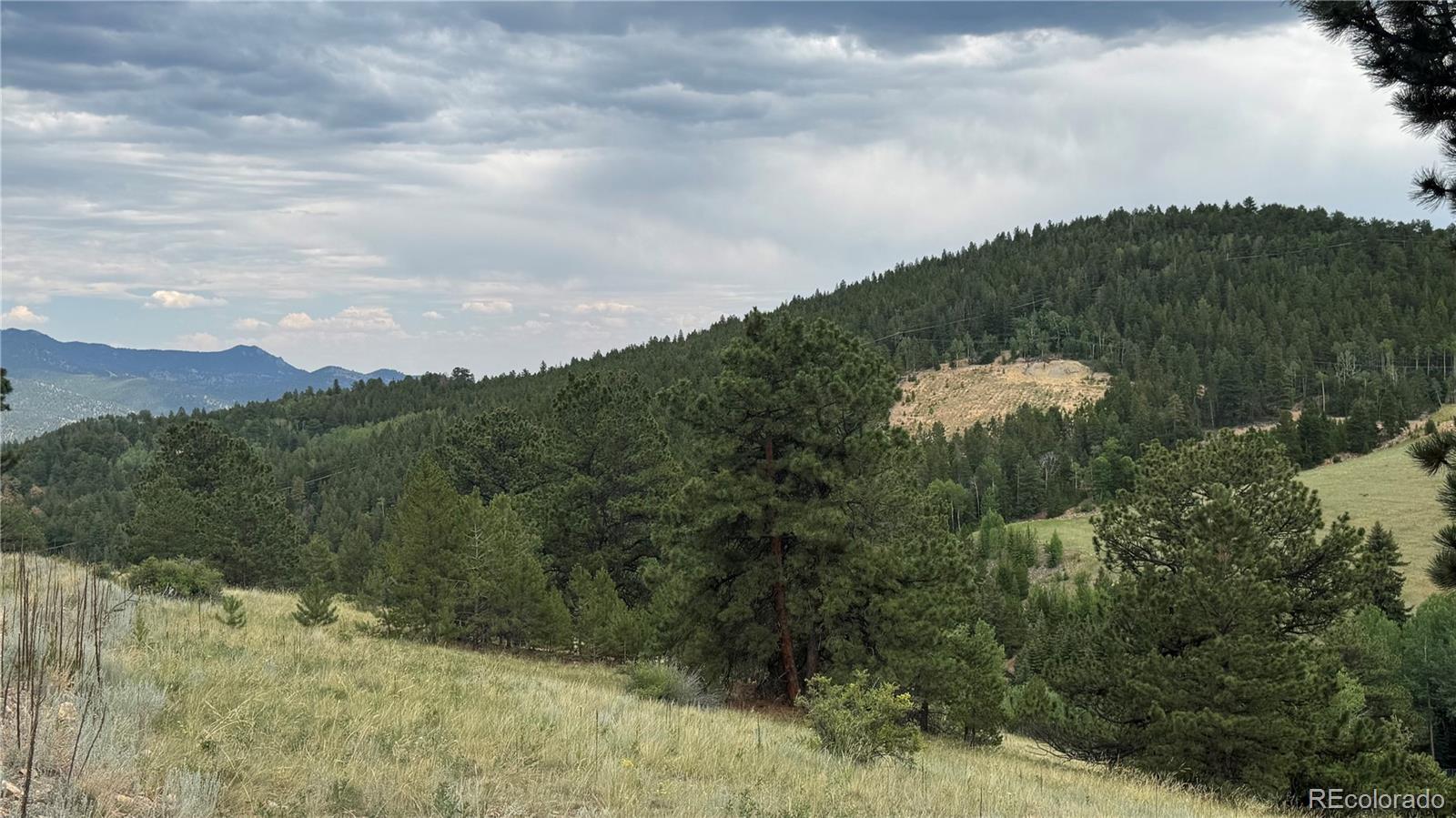 3 Church Placer Road Central City, CO 80427 - Photo 3 of 17 a view of a yard