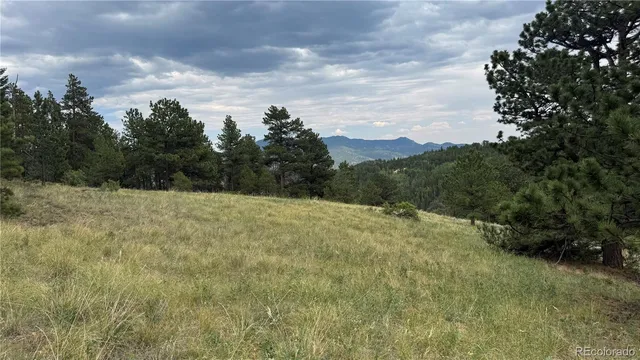 a view of a dry yard